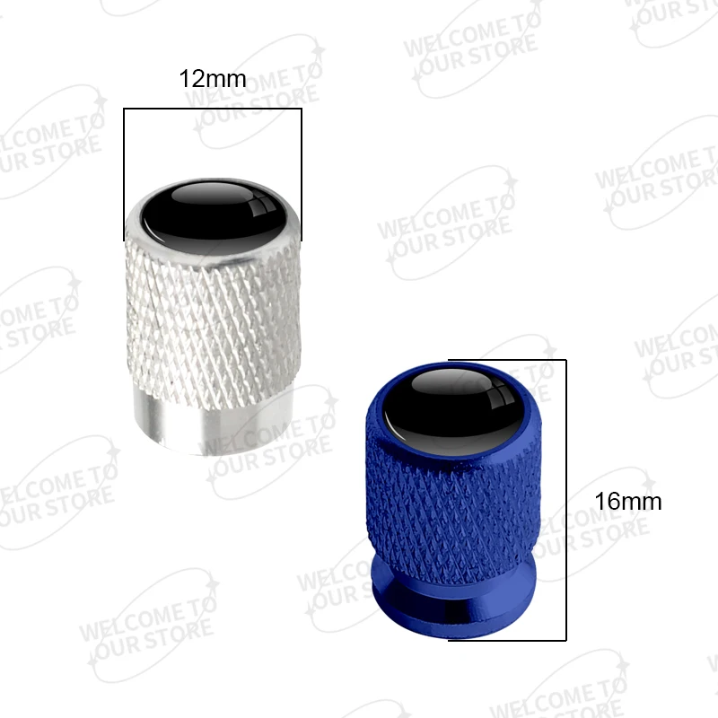 4pcs HSV Valve Protection Caps (Fits all Holden Models) (Chrome Silver)