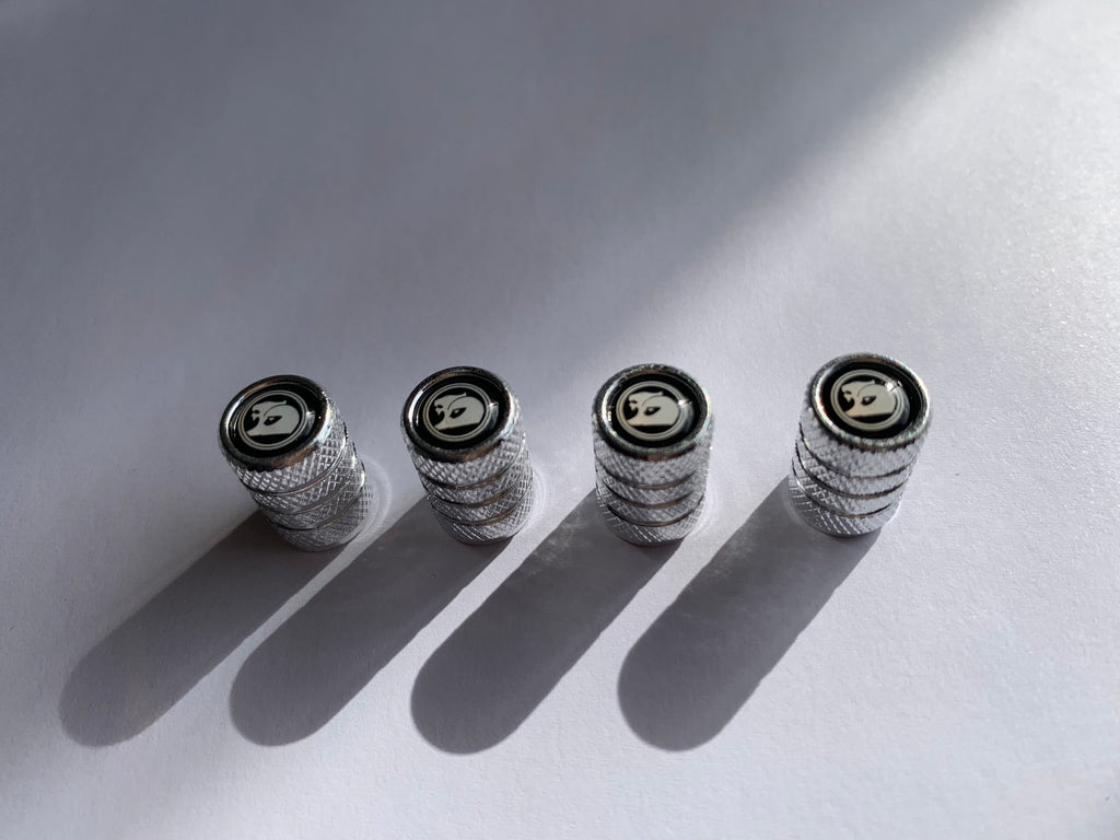 4pcs HSV Valve Protection Caps For Holden (Fits all Holden Models) (Chrome Silver)