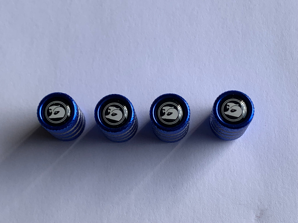 4pcs HSV Valve Protection Caps For Holden (Fits all Holden Models) (Blue)